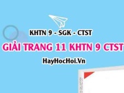Giải KHTN 9 trang 11 Chân trời sáng tạo SGK